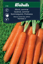 Gulerod, sommer 'Nantaise 2'